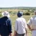 <h2>The Best of South Africa Escorted 2016</h2>13 Nights, 3 on Safari at Shamwari Game Preserve | 5 Rounds | March 2 – 16