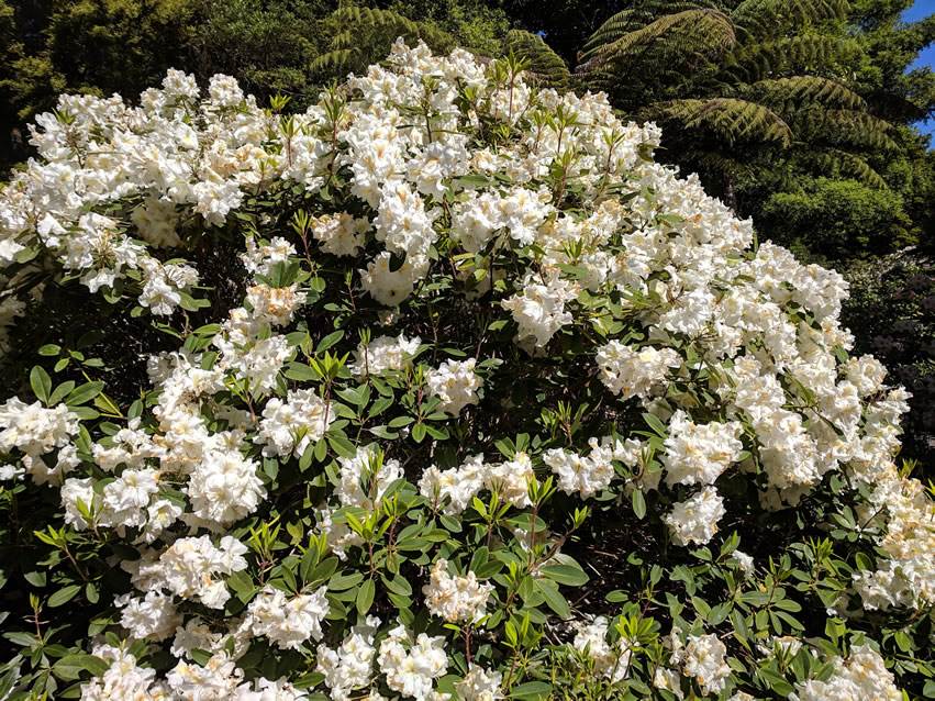 <h2>The Best of New Zealand Escorted 2018</h2>Taupo, Napier, Wellington & Queenstown