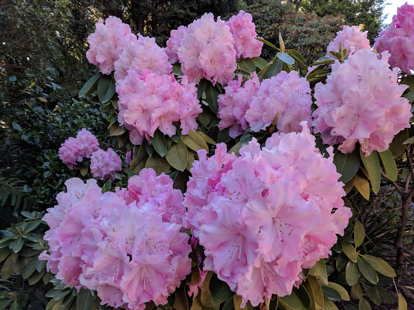 <h2>The Best of New Zealand Escorted 2018</h2>Taupo, Napier, Wellington & Queenstown