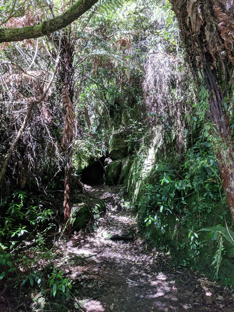 <h2>The Best of New Zealand Escorted 2018</h2>Taupo, Napier, Wellington & Queenstown