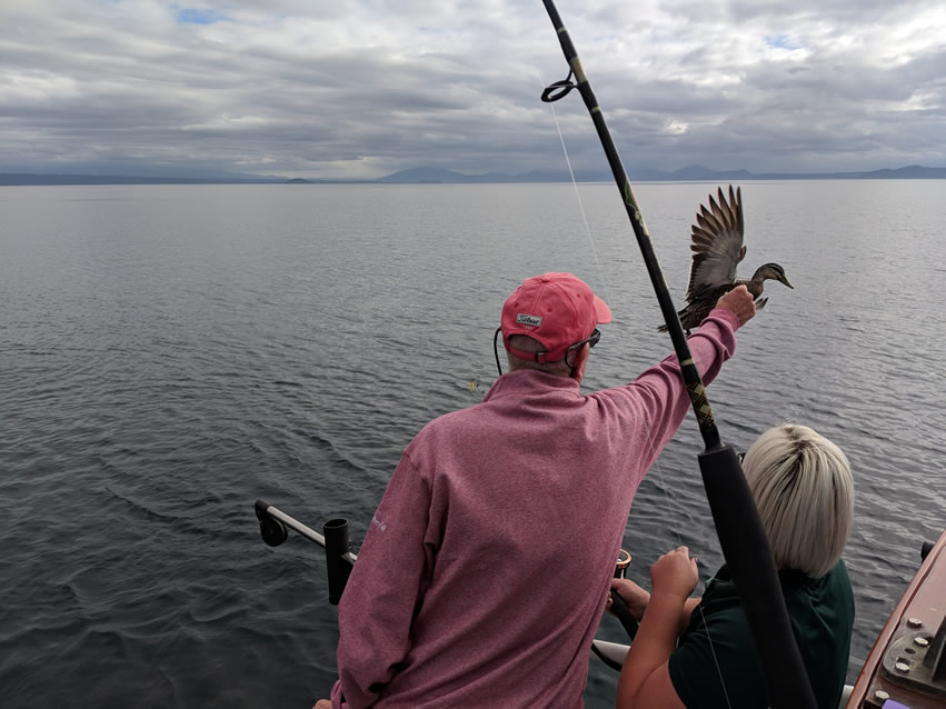 <h2>The Best of New Zealand Escorted 2018</h2>Taupo, Napier, Wellington & Queenstown