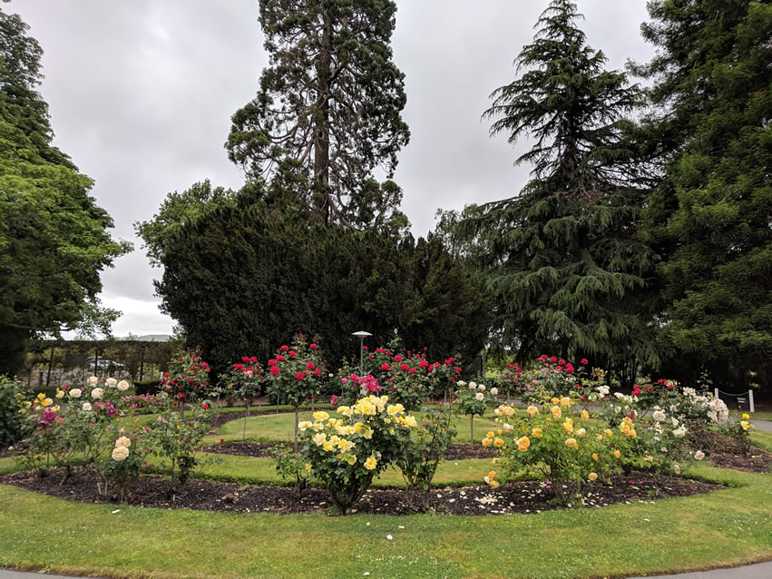 <h2>The Best of New Zealand Escorted 2018</h2>Taupo, Napier, Wellington & Queenstown