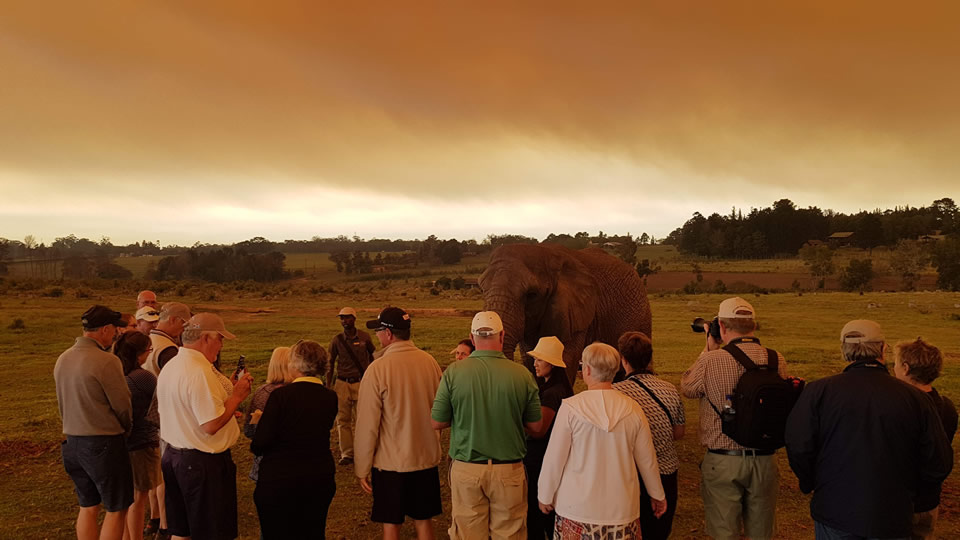 <h2>The Best of South Africa Escorted 2018</h2>Golf, Kruger Safari, Cape Town, the Winelands & Garden Route