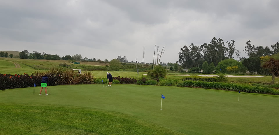 <h2>The Best of South Africa Escorted 2018</h2>Golf, Kruger Safari, Cape Town, the Winelands & Garden Route